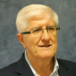 Dr. Francisco Carramiñana Barrera