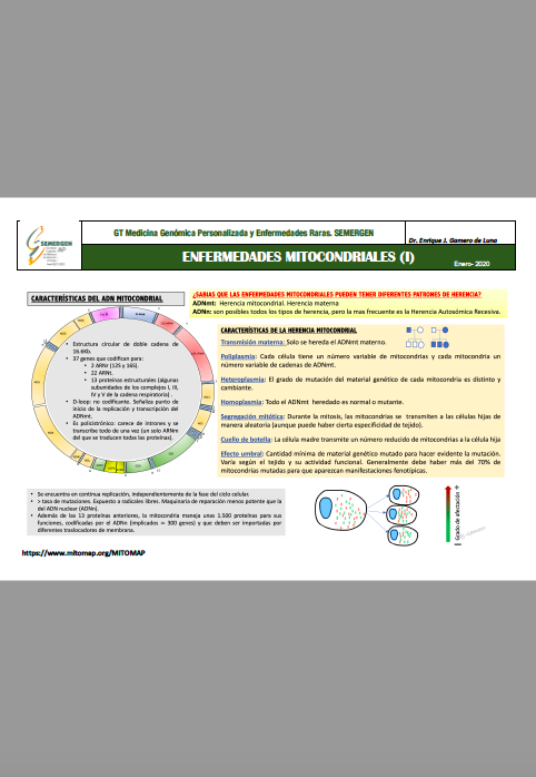 Fichas de consulta - Enfermedades mitocondriales